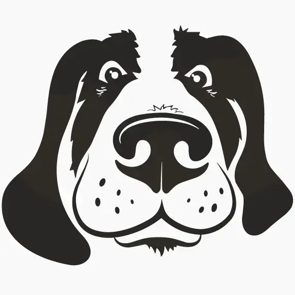 Ceren Sichmann - Hundefriseurin in Freiburg
